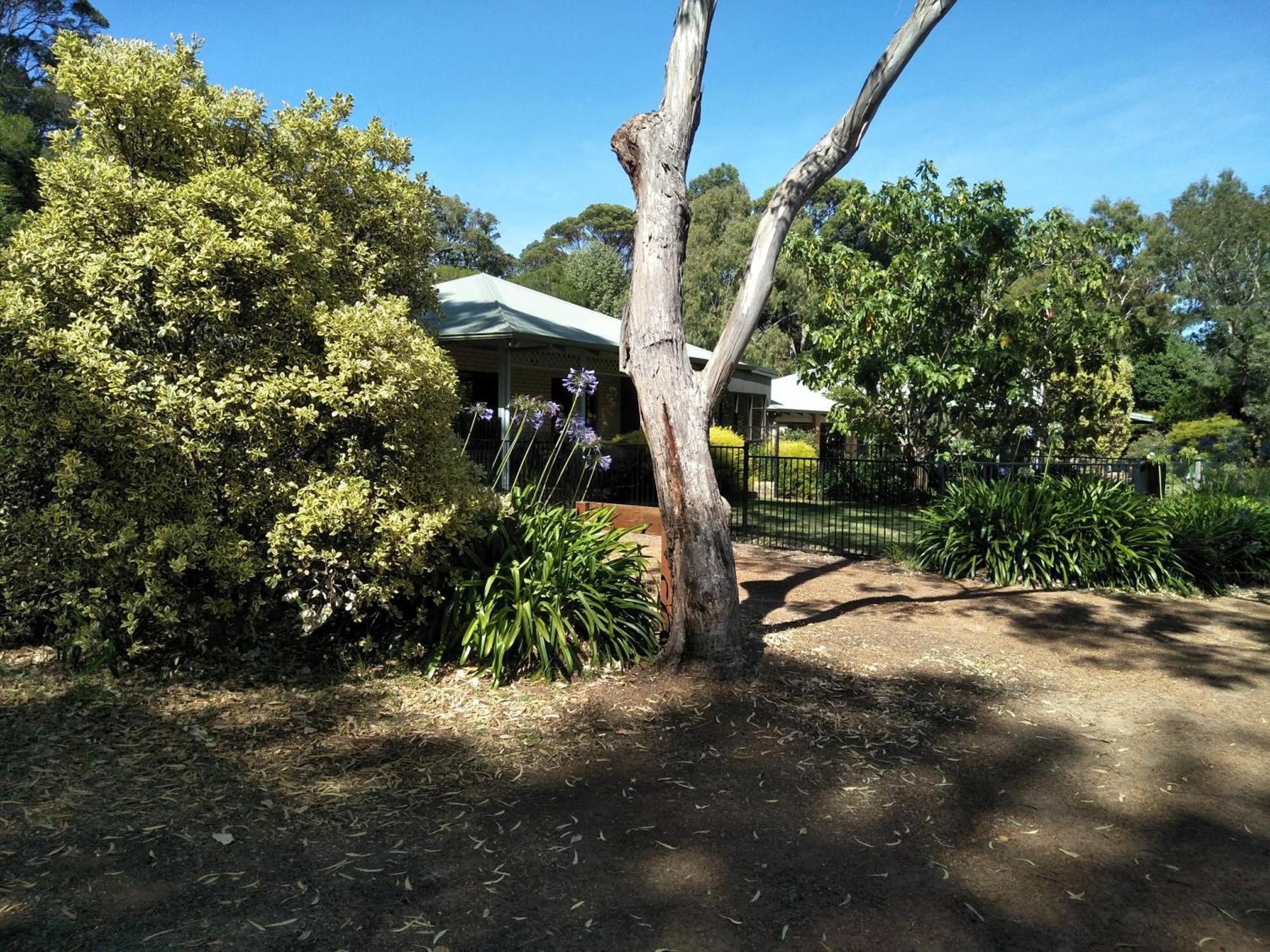 Margaret House Apartman Margaret River Kültér fotó